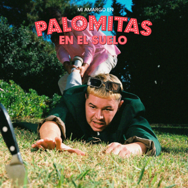 Palomitas en el suelo